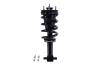 2355037 Suspension Strut and Coil Spring Assembly - image 1
