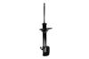 331602R Suspension Strut Assembly - image 1