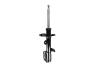 331617L Suspension Strut Assembly - image 1