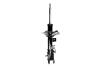 331644L Suspension Strut Assembly - image 1