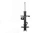 331648R Suspension Strut Assembly - image 1
