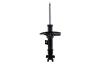 331657R Suspension Strut Assembly - image 1