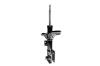 331659R Suspension Strut Assembly - image 1