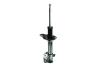 331749R Suspension Strut Assembly - image 1