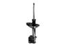 331752R Suspension Strut Assembly - image 1