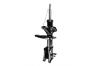 331787R Suspension Strut Assembly - image 1