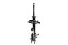 331790R Suspension Strut Assembly - image 1