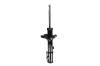 331793R Suspension Strut Assembly - image 1