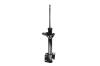 331845R Suspension Strut Assembly - image 1