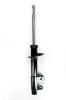 332307 Suspension Strut Assembly - image 1