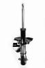 332308 Suspension Strut Assembly - image 1