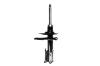 332322L Suspension Strut Assembly - image 1