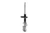 332324L Suspension Strut Assembly - image 1
