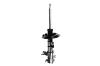 332350R Suspension Strut Assembly - image 1