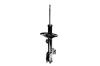 332366R Suspension Strut Assembly - image 1