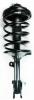 3331595R Suspension Strut and Coil Spring Assembly - image 1