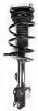 3331622L Suspension Strut and Coil Spring Assembly - image 1