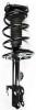 3331622R Suspension Strut and Coil Spring Assembly - image 1