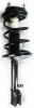 3331623L Suspension Strut and Coil Spring Assembly - image 1