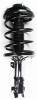 3331663R Suspension Strut and Coil Spring Assembly - image 1
