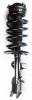 3331821R Suspension Strut and Coil Spring Assembly - image 1
