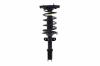 3332304R Suspension Strut and Coil Spring Assembly - image 1