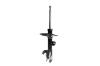 333313L Suspension Strut Assembly - image 1