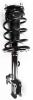 3333393L Suspension Strut and Coil Spring Assembly - image 1