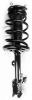 3333393R Suspension Strut and Coil Spring Assembly - image 1