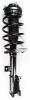3333406L Suspension Strut and Coil Spring Assembly - image 1