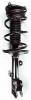 3333412L Suspension Strut and Coil Spring Assembly - image 1