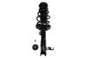 3333415R Suspension Strut and Coil Spring Assembly - image 1