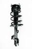 3333444L Suspension Strut and Coil Spring Assembly - image 1
