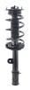 3333447L Suspension Strut and Coil Spring Assembly - image 1
