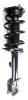 3333447R Suspension Strut and Coil Spring Assembly - image 1