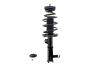 3333514R Suspension Strut and Coil Spring Assembly - image 1