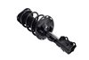 3333524L Suspension Strut and Coil Spring Assembly - image 2