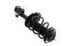 3333524L Suspension Strut and Coil Spring Assembly - image 4
