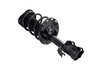 3333524R Suspension Strut and Coil Spring Assembly - image 2