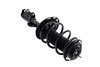 3333524R Suspension Strut and Coil Spring Assembly - image 4