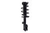 3333957L Suspension Strut and Coil Spring Assembly - image 1