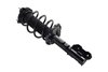 3333957L Suspension Strut and Coil Spring Assembly - image 2