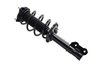 3333957R Suspension Strut and Coil Spring Assembly - image 2