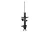 333443L Suspension Strut Assembly - image 1