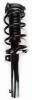 3335576 Suspension Strut and Coil Spring Assembly - image 1