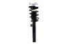 3335684L Suspension Strut and Coil Spring Assembly - image 1