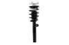 3335684R Suspension Strut and Coil Spring Assembly - image 1