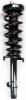 3335797L Suspension Strut and Coil Spring Assembly - image 1