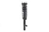 3335801R Suspension Strut and Coil Spring Assembly - image 1