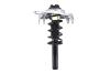 3335832R Suspension Strut and Coil Spring Assembly - image 1